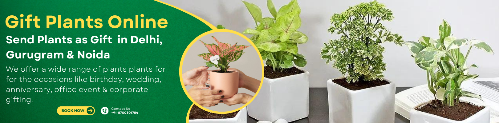 Gift Plants Online in Delhi