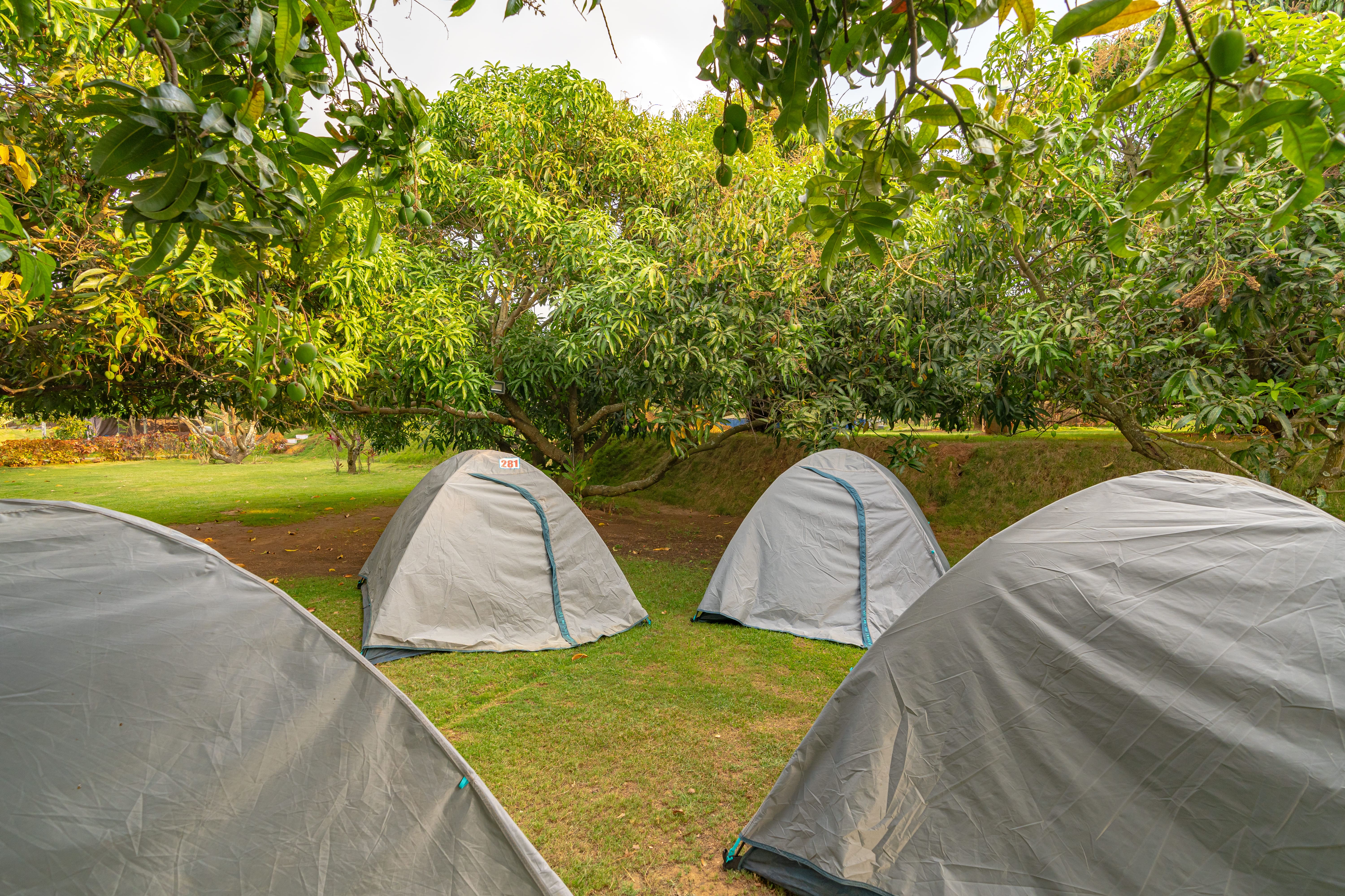 Fueling a Vision. Elevating the Experience.