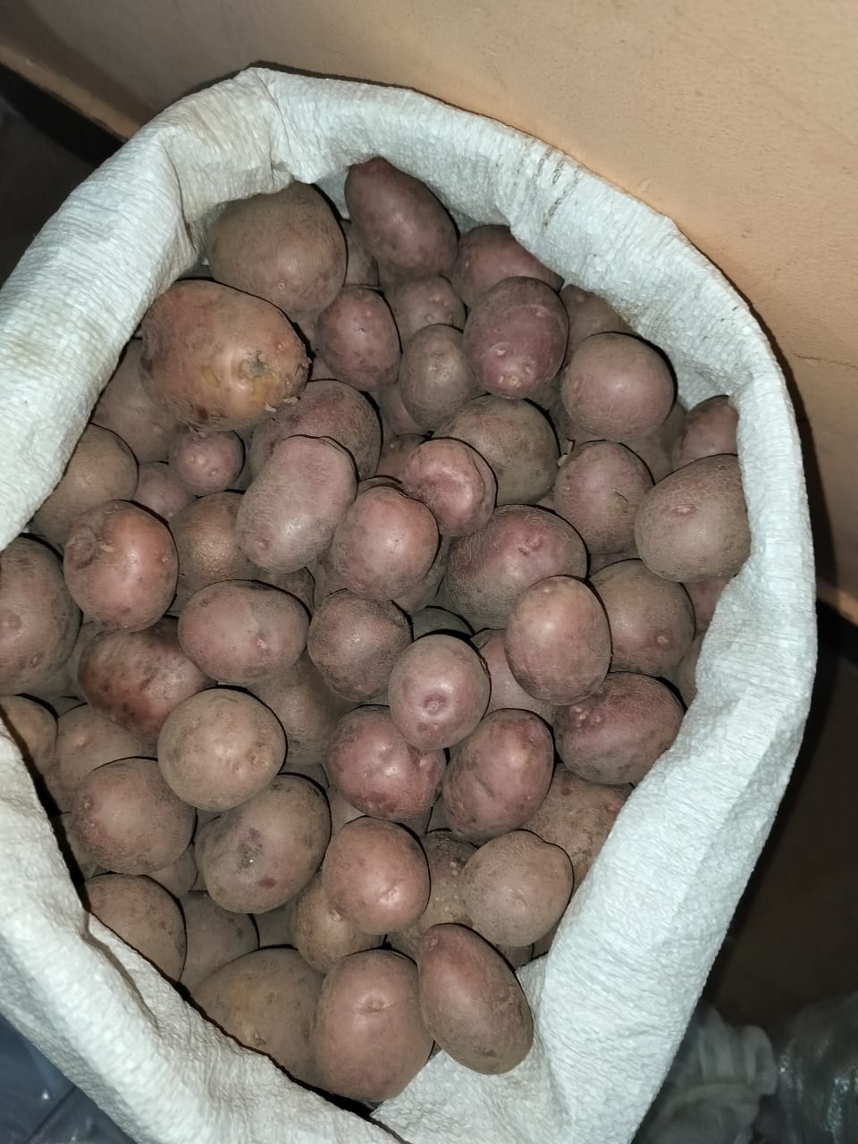 farm vegetables