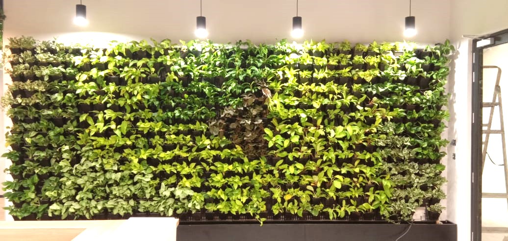 Vertical Garden Design 1