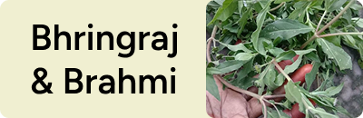 Bhringraj & Brahmi