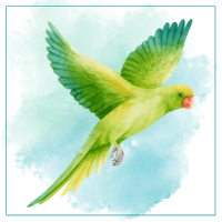 Birds Products