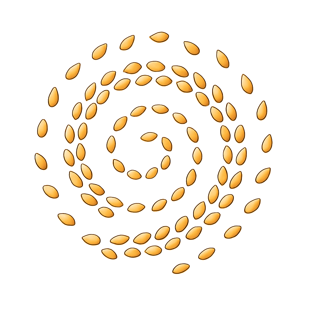 Toasted Sesame Seeds