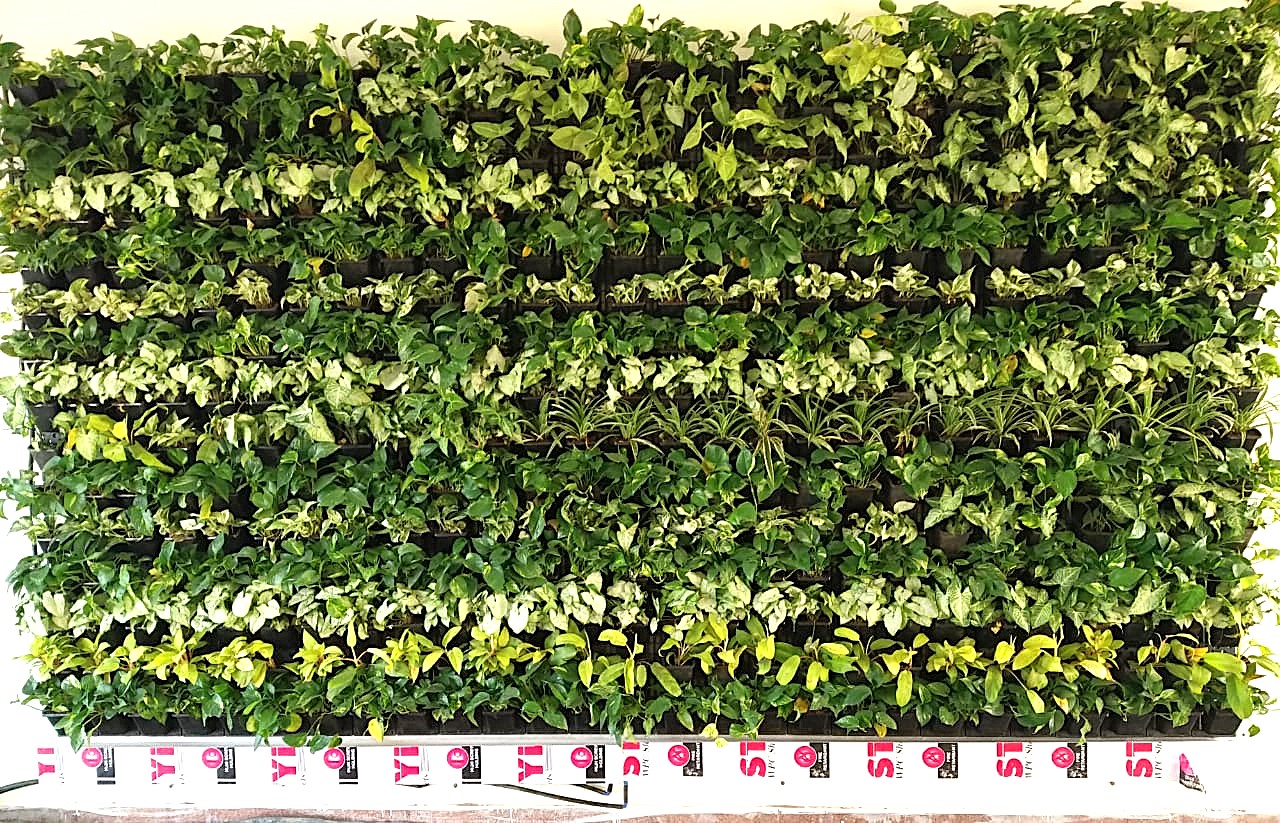 Vertical Garden Design 2