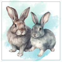 Rabbit Products