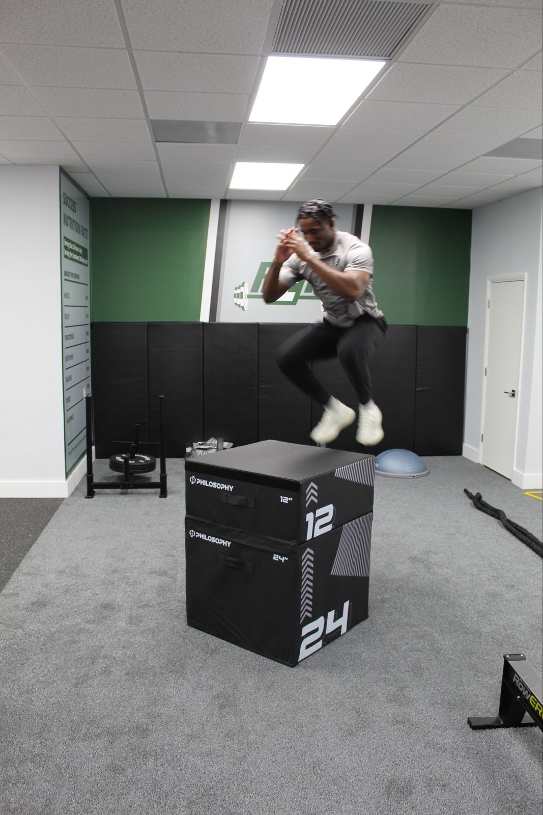 Organic green tea product