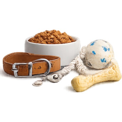 Pet Accessories
