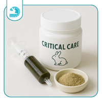Critical Care